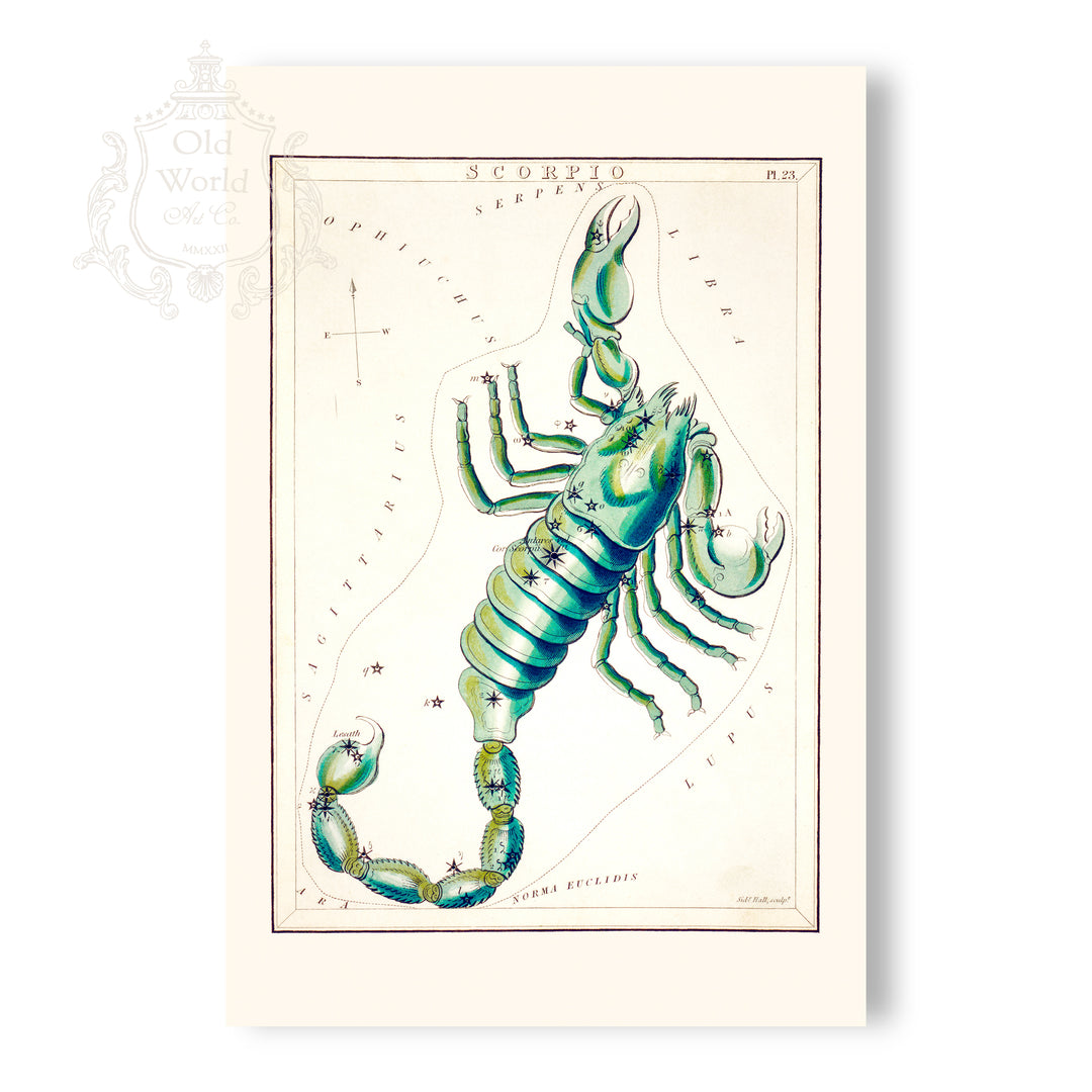 Scorpio Zodiac Chart Print