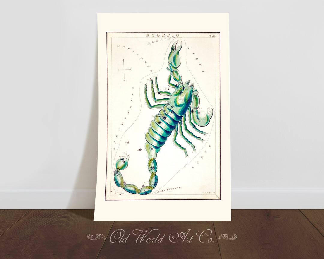 Scorpio Zodiac Chart Print